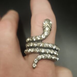 Elegant Silver Snake Ring for Reptile Enthusiasts